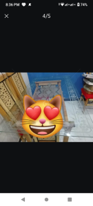 DINNING TABLE