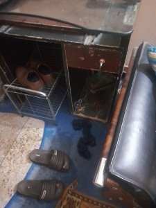 Used furniture